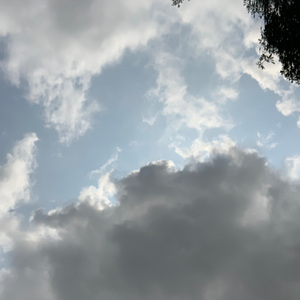 总想让你懂我的隐喻