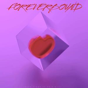 FOREVERBOUND (LOFI) (feat. VAID DILLI)
