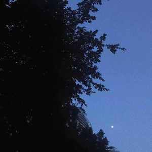 D.Store-榆（Chris_D / Rynco remix）