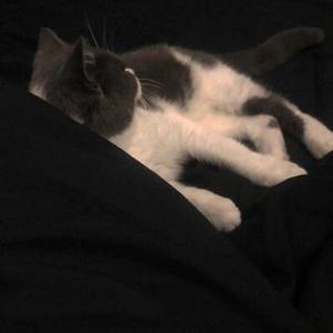 宝藏男孩-0415_ovo（prod by Treasure_boy）（Glv remix）