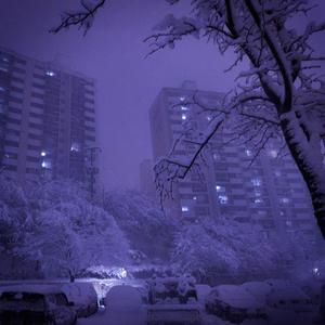 polarium (feat. DJ Msxd)