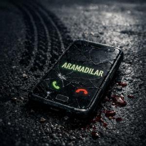 Aramadılar