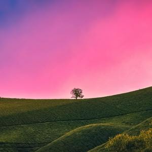 Gee(施坦威钢琴版)