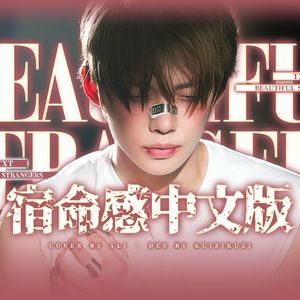 Beautiful Strangers（宿命感中文填词）