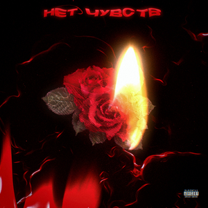 Разбитое cердце