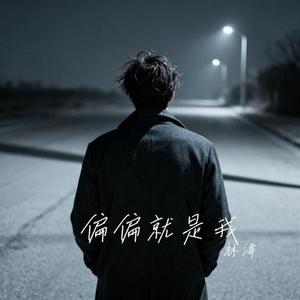 偏偏就是我