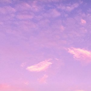 52度的酒37度的手-南瓜