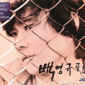 축제
