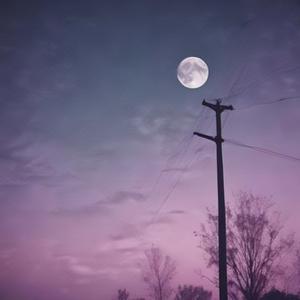 回忆的风吹乱了寂寞