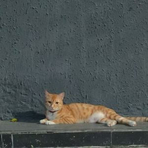 les meilleures amies