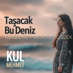 Taşacak Bu Deniz