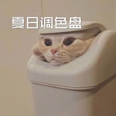 夏日调色盘 (DJ经典版)