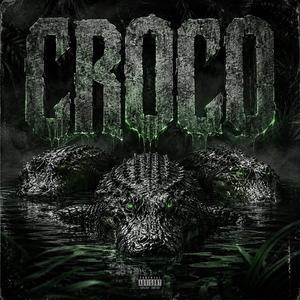 CROCO