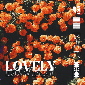 ‘Lovely’rnb guitar type beat[free]