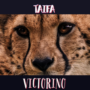 Taifa