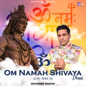 OM NAMAH SHIVAYA DHUN (feat. RAVINDER BHATIA)