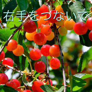 右手をつないで