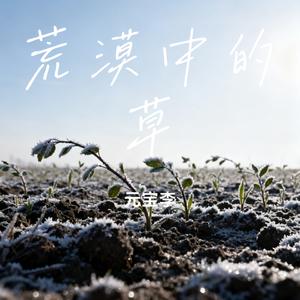 荒漠中的草