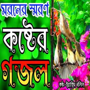 Pran Pakhi Oriya Zeidin Zaibe Deho Chere