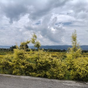 夏夜烧烤摊的兄弟