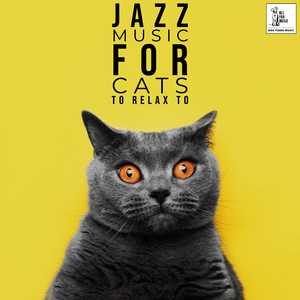 Cat Fall Asleep Piano