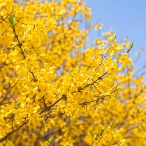 바람속의 나 (love12)