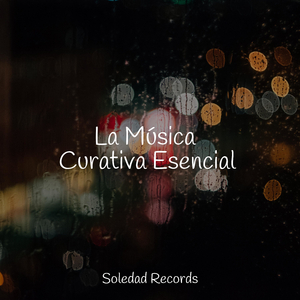 Velas De Viento en El Horizonte