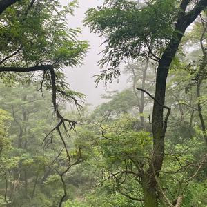 生活不止眼前的苟且