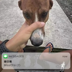 为何要我爱上你