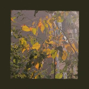 爱久见人心（cover 梁静茹）