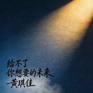 给不了你想要的未来 (DJ涵涵版)