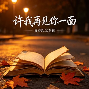 许我再见你一面