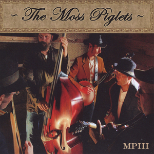 Modern Modal Mourning Dove