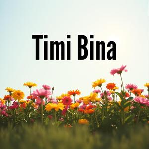 Timi Bina