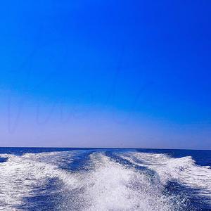 Prota (feat. Alex.A.N.D.E.R.) (Collaboration v1)