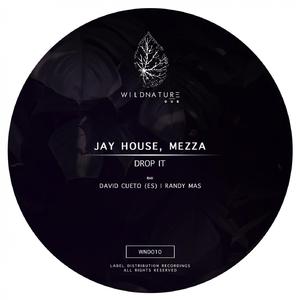 Drop It (Randy Mas Remix)