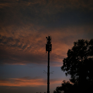 Looking in the sky