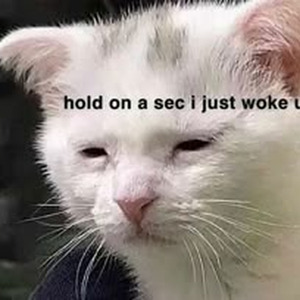 Talibans II (slowed)