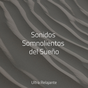 Relájate en Armonía