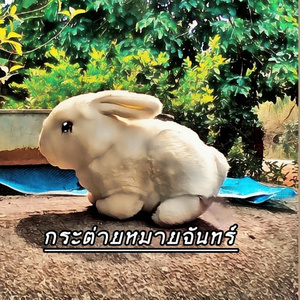 กระต่ายหมายจันท์