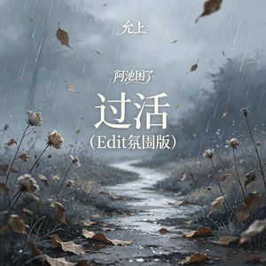 过活（Edit氛围版）