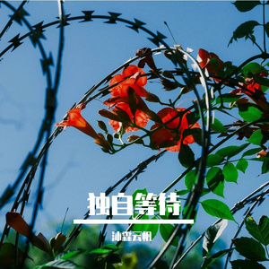 夕阳剑客 - 城市岛屿 [mqms]