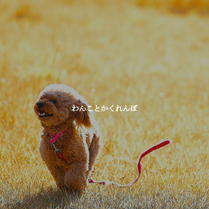 Trio Jazz Soundtrack for Laid Back Listening