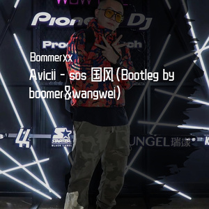 Avicii - sos 国风(Bootleg by boomer&wangwei)