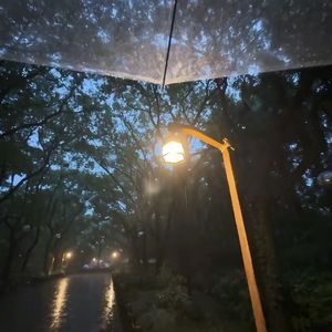 一枕水眸剪-盖世汤圆