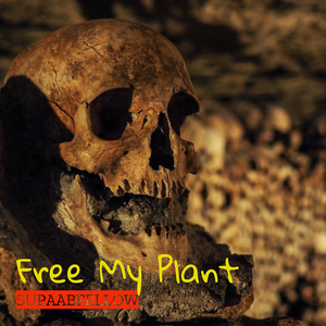 Free My Plant