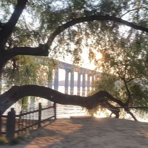 华年（古筝版） Ver.paino