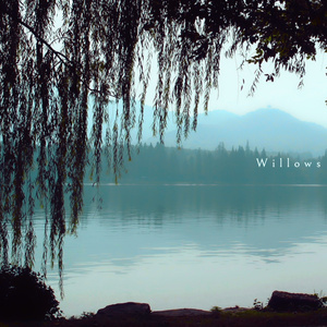 Willows