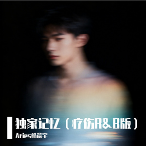 独家记忆(R&B疗伤版)