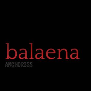 balaena
